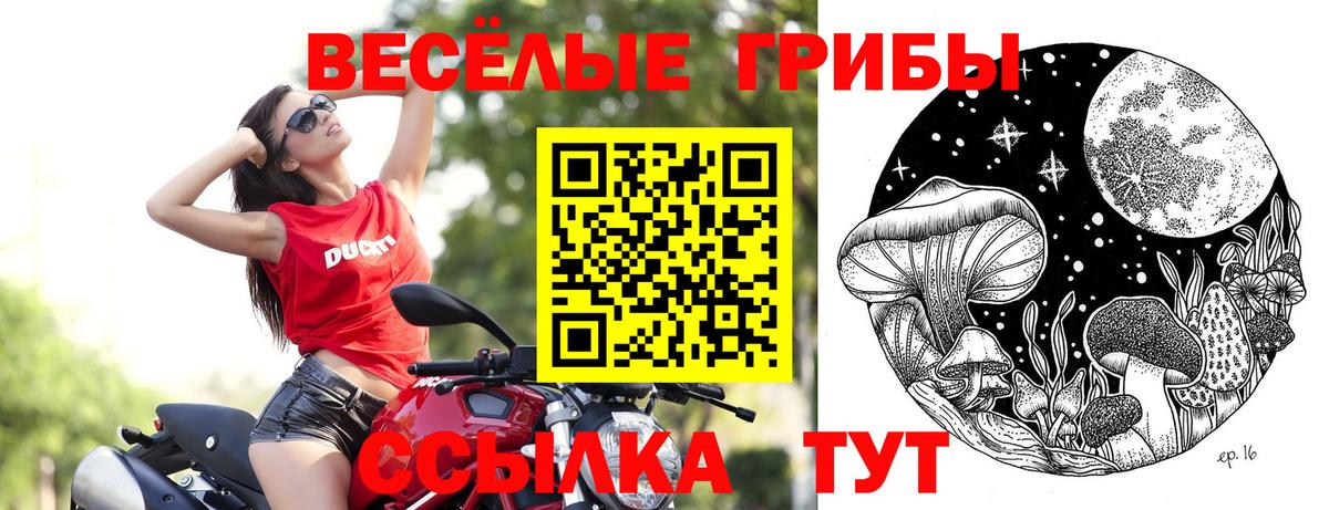 Псилоцибиновые грибы мицелий Ногинск
