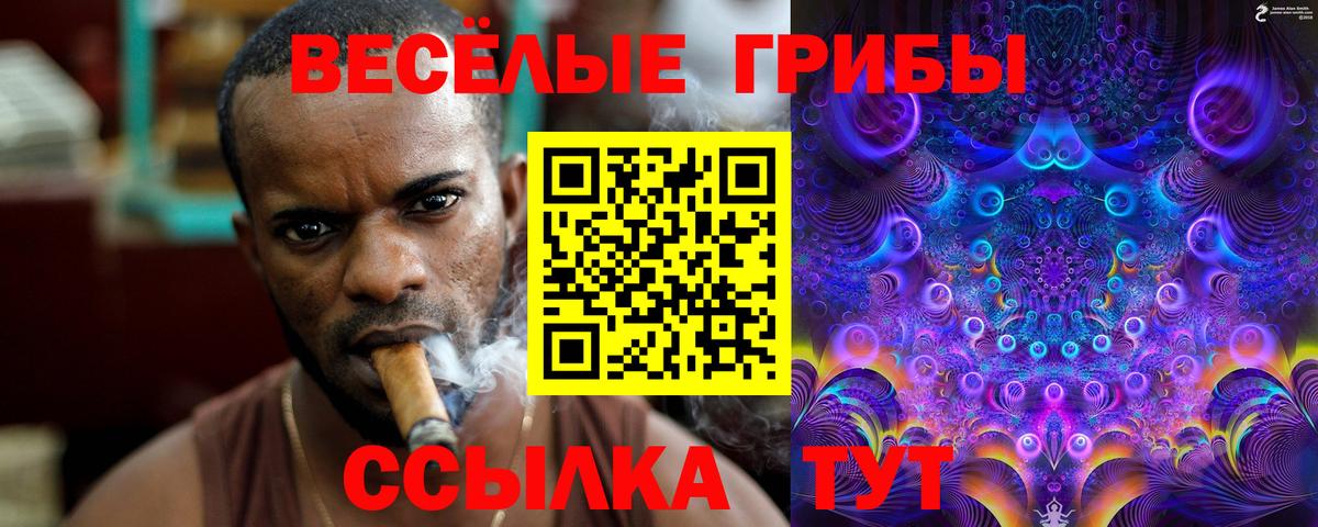 Ногинск  Галлюциногенные грибы Magic Shrooms  наркошоп  Вход с VPN 